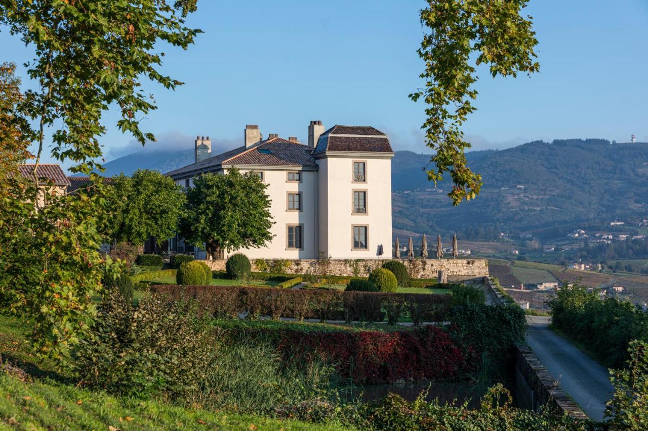 Chateau Du Souzy Quincié-en-Beaujolais Exterior foto